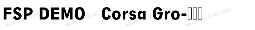 FSP DEMO   Corsa Gro字体转换